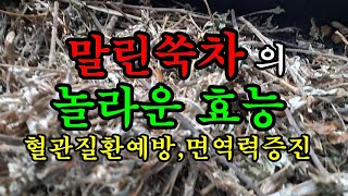 말린쑥? 놀라운 효능? 말린쑥차 이렇게 하면 보약차?