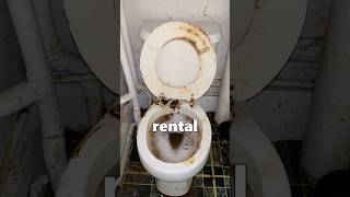 The Grossest Bathroom I Have Cleaned #shorts #gross #landlord