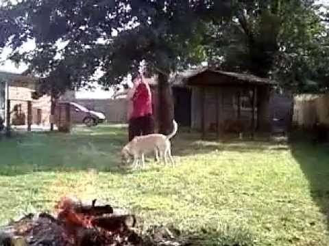 Funny tripping