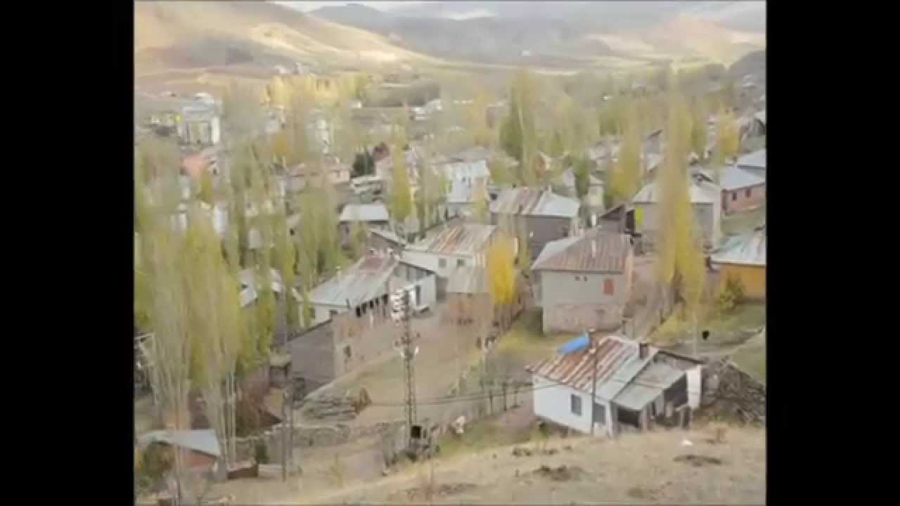 gümüşdere sılayt gösterisi