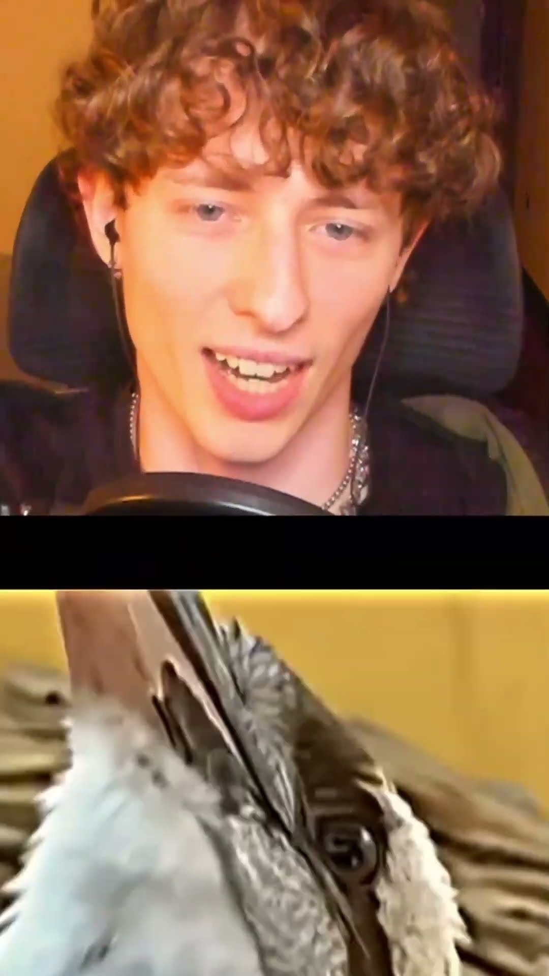 Las AVES más ATERRADORAS