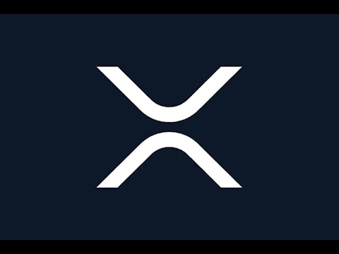 Apa Artinya Buat XRP Ketika CEO Ripple Langsung Turun Gunung Berikan  Prediksi Berani? Selengkapnya!