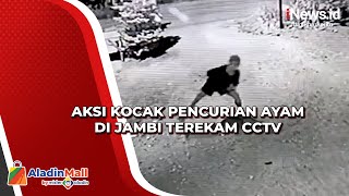 Aksi Kocak Pencurian Ayam di Jambi Terekam CCTV