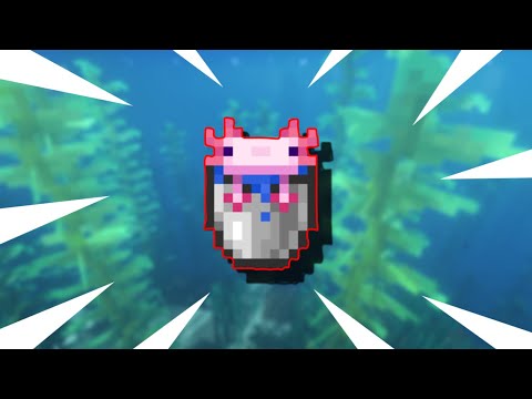 Minecraft 1.17 Snapshot 20w51a The Axolotl Is Here!