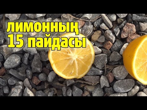 Бейне: Чаяның қандай пайдасы бар?