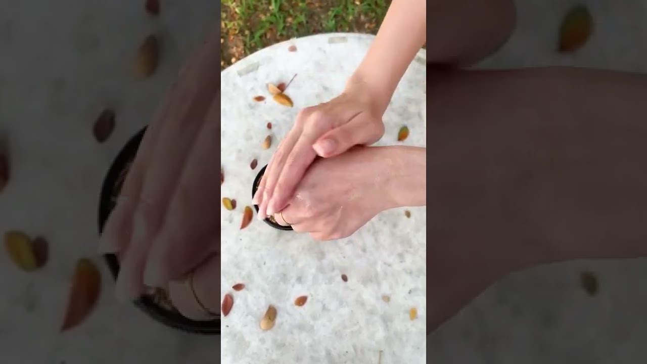 My Best Herb official Thailand  Thai & Spa Products