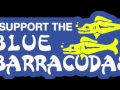 Walk on the wild side  blue barracudas