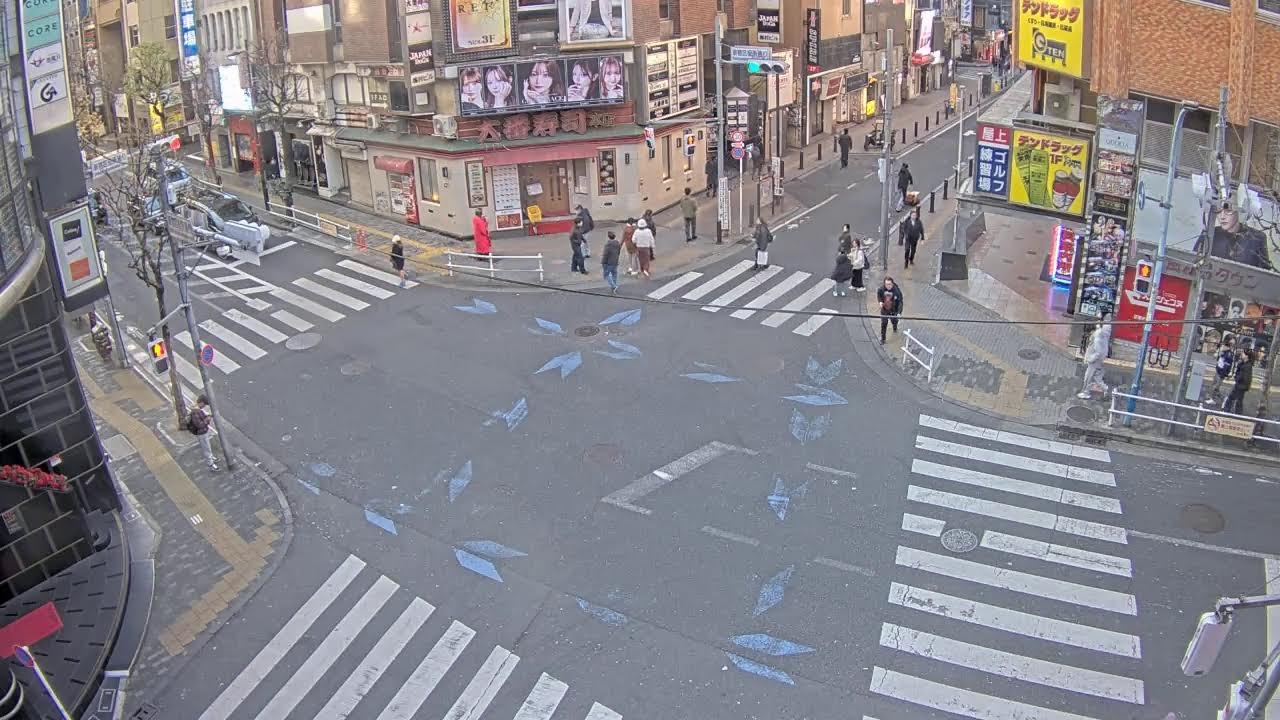 【Archive】歌舞伎町ライブカメラ Shinjuku  Kabukicho Live Camera