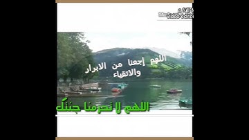 تلاوه عذبة بصوت محمد الميشاني