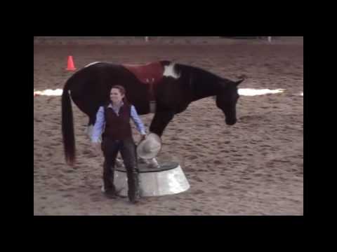 Parelli Horse Training with Parelli Instructor Kri...