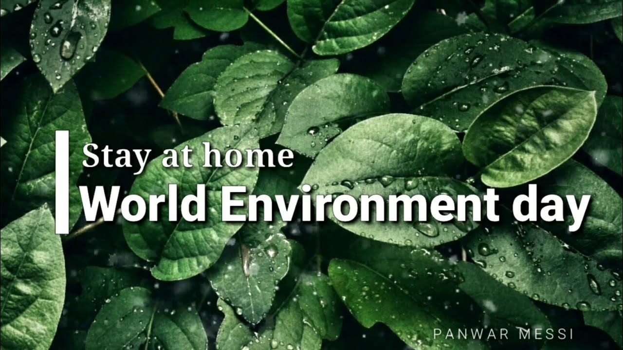 World Environment Day 🌱 WhatsApp Status 2022 🌴 Special 💐