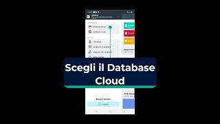 Lavora con i tuoi Dati in Cloud anche dall'App Gestionale Android screenshot 4