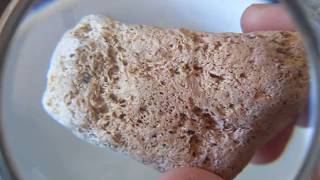 Igneous Lab: Pumice Ignrx How To Observe And Name Pumice And Scoria Igneous Rock