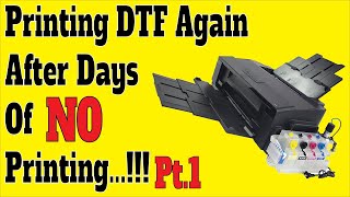Printing DTF Again After Days of NO Printing ! Pt.1 Don't Allow Your Printer To Get Clogged.