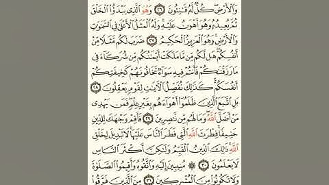 ماهر المعيقلي سورة الروم مكتوبة صفحة 407 مصحف المدينة المنورة جودة عالية