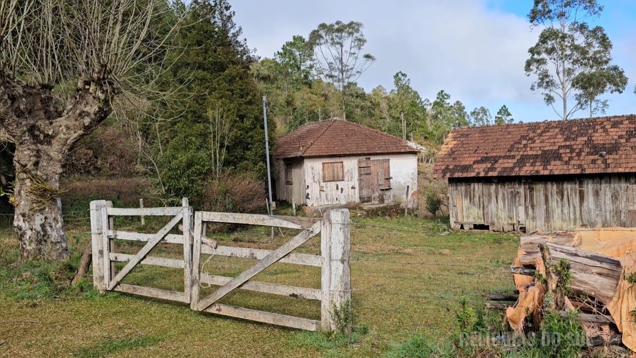 CASAS NO INTERIOR QUE FORAM ABANDONADAS POR HERDEIROS E MUITAS NATUREZA E ANIMAIS 