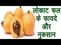        loquat fruit in hindi