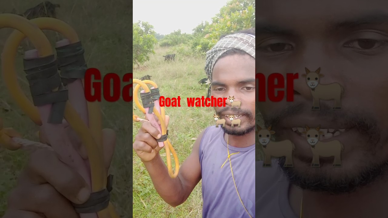 goat watcher video