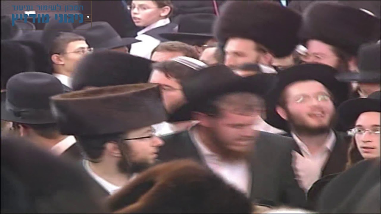 עו"ד דוד זעירא | הקפות שניות במודז'יץ - תשס"ח - קדשינו תשס"ח לכ"ק אדמו"ר ממודז'יץ שליט"א