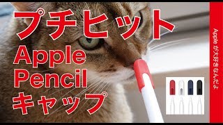 Apple Pencil のキャップがとっても良かった！iPad Pro 11”で試しました・個人的にプチヒット商品