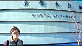 京都水族館行って来た！This is Kyoto Aquarium ！