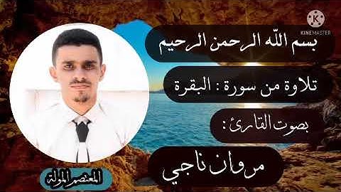 تلاوة القارئ : مروان ناجي | آيات من سورة : البقرة