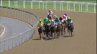 Vidéo de la course PMU PRIX TRACK AND BALL ONLINE WWW.TRACKANDBALL.CO.ZA MAIDEN PLATE