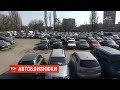 Автомобілі-близнюки: українськими дорогами їздять 400 тисяч авто з однаковими державними номерами