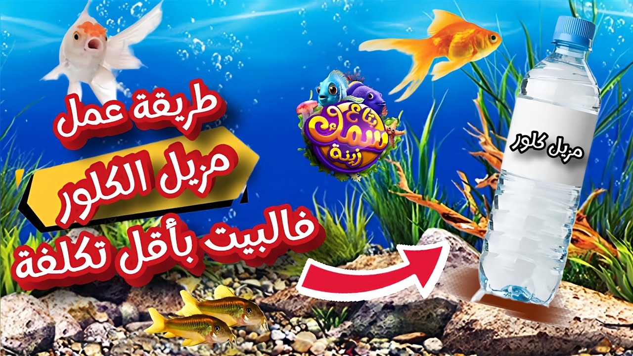 تحضير مزيل كلور فالبيت بأقل تكلفة بطريقتين