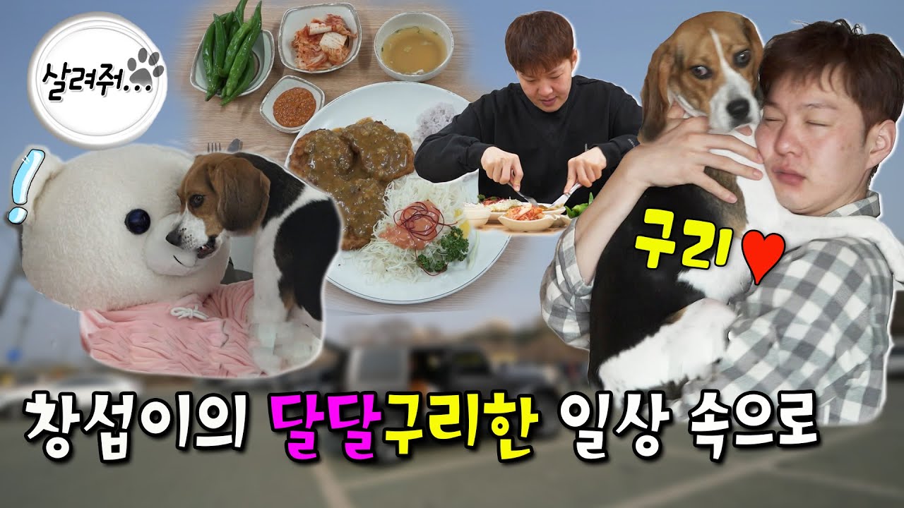 [#주간예능연구소]나혼자산다 이창섭♥반려견 구리와 달달한 일상/전참시/복면가왕 #이창섭 #구리 MBC230324 등 방송