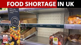 Food shortage in UK: Two tomatoes \& two cucumbers in supermarket | Newsmo