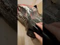 ARRMA SENTON 4X4 VS BRAHA CORVETTE C7 124 scale