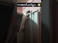 പാവം എന്റെ കുട്ടു🤣😺#comedy #cat #cute #funnypet #ytshorts #youtube #fun
