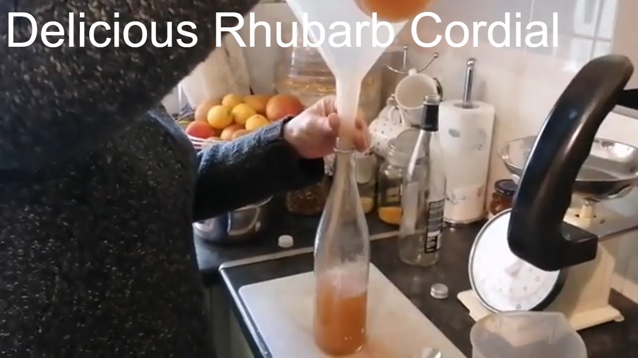 Making Rhubarb Cordial with homemade honey and dehydrated citrus