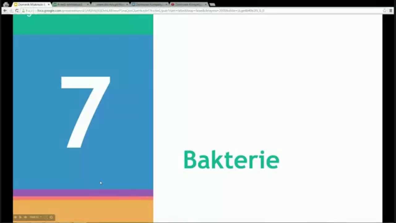 Darmowe Korepetycje z Biologii, spotkanie 7: Bakterie — Transcript