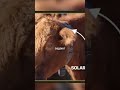 @yoimbaa 👈 Больше идей для бизнеса у меня в блоге, подпишись !