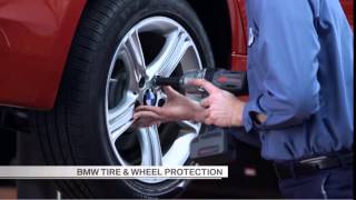 Sports Performance BMW Ultimate Protection Program -  Protection Products