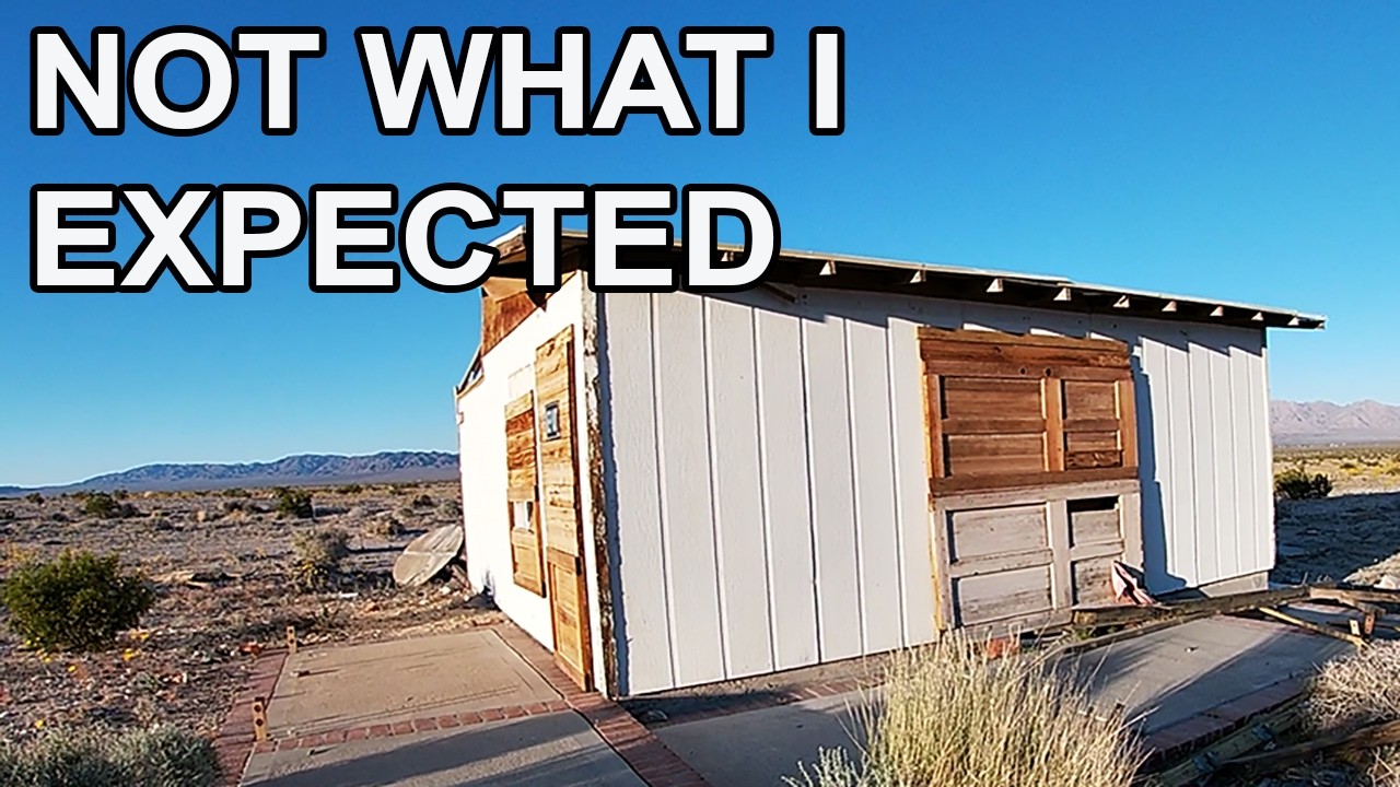 This Wonder Valley Cabin Was Not What I Expected