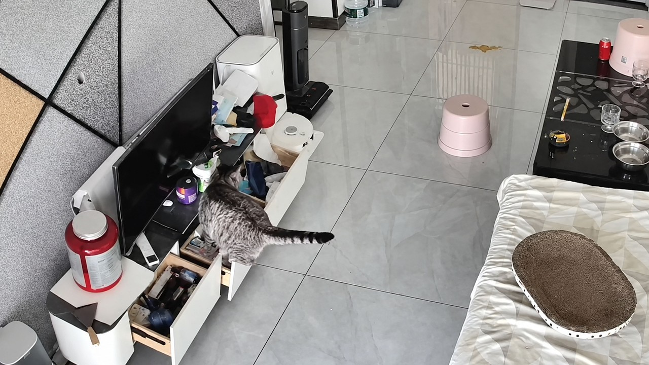 Cat Topples TV Stand After Climbing Onto Open Drawer