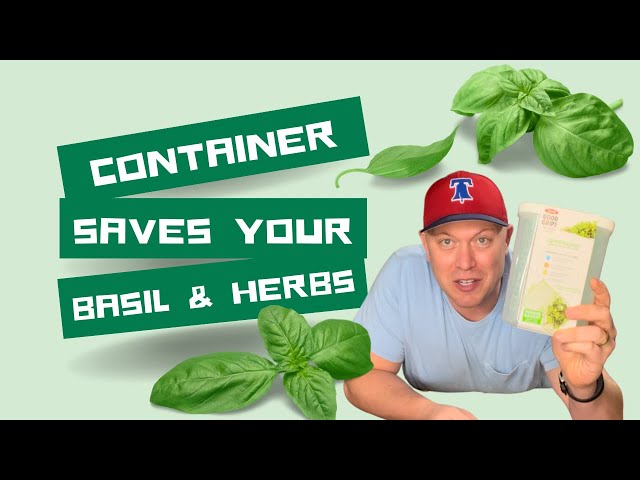 This Container Preserves Basil for WEEKS! OXO Good Grips