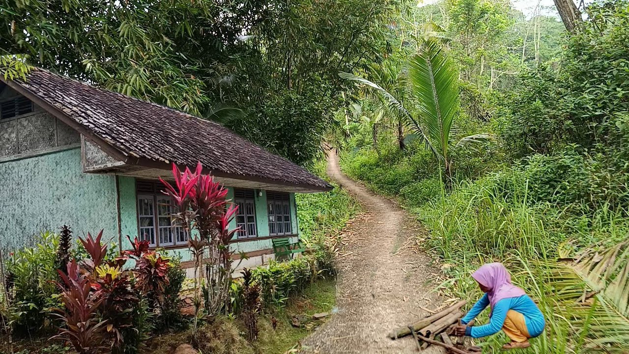 Sangat asri ‼️begitu damai dan betah saat menginjakan kaki di kampung ini