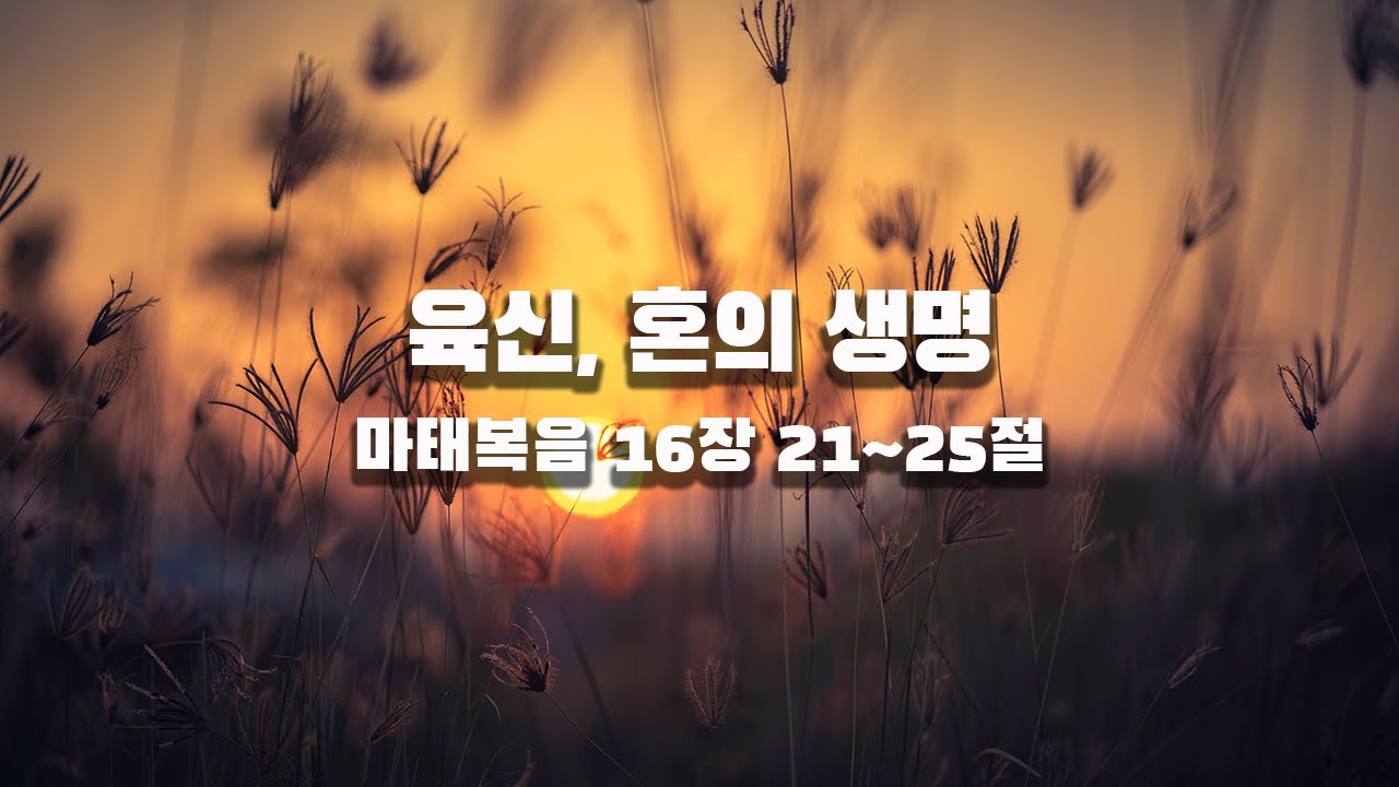 [광야의소리2020] 육신, 혼의 생명 -성현경 목사-  (24. 8. 11.)