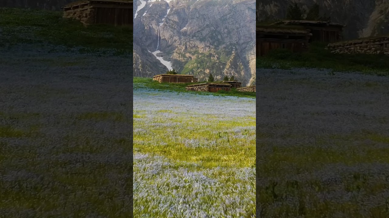 Valley Of flowers Chukail Meadows , Mankial - Swat Valley 