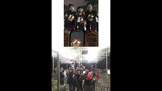 Cucak Jenggot Gereja super panjang, CJ volume tembus, calon juara