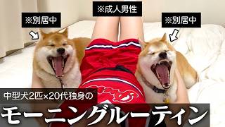 20代、別居、独身。毎日がガラッと変わった飼い主のリアルなモーニングルーティン※別居歴10ヶ月※