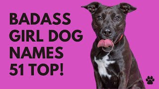 Badass Girl Dog Names 51 BEST & CUTE & TOP Ideas | Names