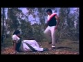 Rowdy Movie - Radha Attacked By Goons