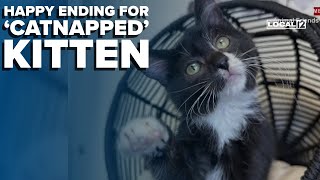 Ohio kitten up for adoption found miles away from shelter after being stolen and dumped