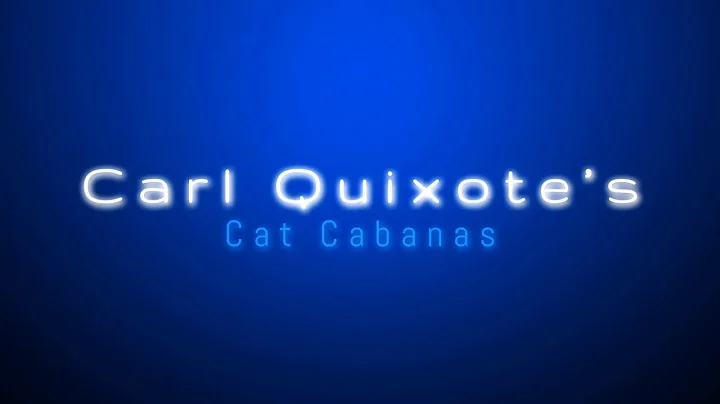 Carl Quixotes Cat Cabanas