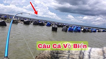 Ngày Mưa Bảo Đi Câu Cá Vồ Biển || Trúng Ngay Bầy Cá To Ăn Mồi Kéo Liên Tục